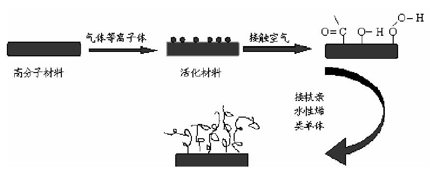 圖 1-1 等離子體引發(fā)接枝示意圖