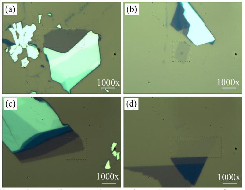 圖 3.3 低溫氧等離子體處理后單層 M o S 2 薄膜的光學(xué)顯微鏡圖。（a）樣品 1 # 的光鏡圖，（b）樣 品 2 # 處理 1 0 s 的光鏡圖，（ c）樣品 3 # 處理 2 0 s 的光鏡圖和（ d）樣品 4 # 處理 4 0 s 的光鏡圖。