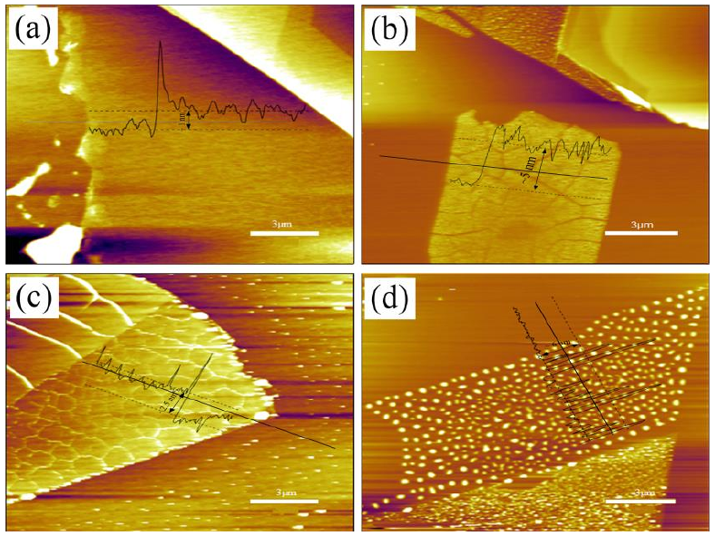 圖 3.5 低溫氧等離子體處理后單層 M o S 2 薄膜形貌圖。（a）樣品 1 # 的厚度~ 1 nm；（ b）樣品 2 # 的厚度~ 5 nm；（ c）樣品 3 # 的厚度~ 3.5 nm；（ d）樣品 4 # 的厚度~ 6 nm。